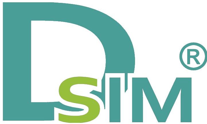 Digital Marketing Courses in South Delhi - DSIM Logo