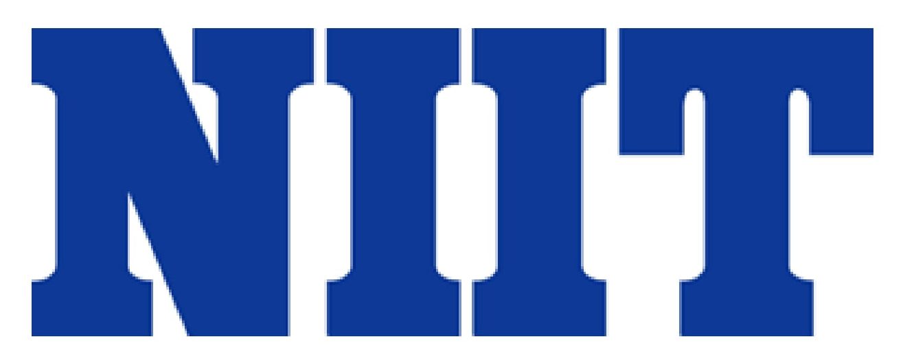 Digital Marketing Courses in South Delhi - NIIT Logo