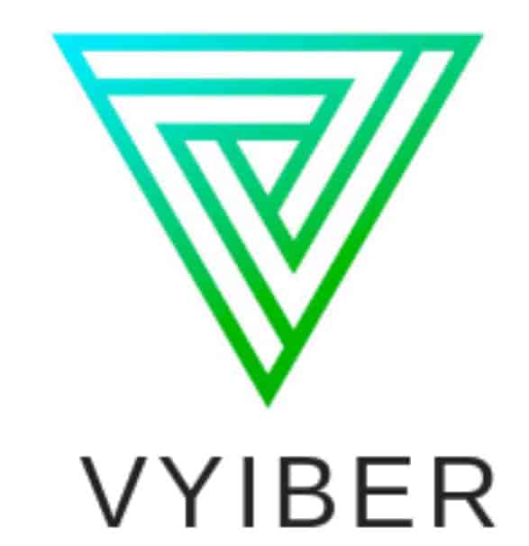 Digital Marketing Courses in Thrissur - Vyiber Academy Logo