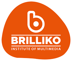 Digital Marketing Courses in Ludhiana - Brilliko Multimedia Logo