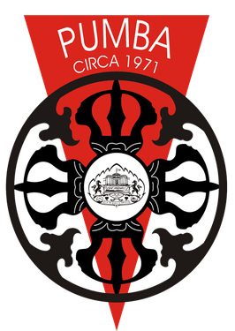 MBA Colleges in Pune - The Department of Management Sciences (PUMBA), University of Pune Logo