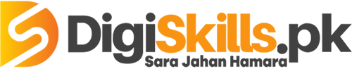 Digital Marketing Courses in Pittsburgh - Digiskill Logo