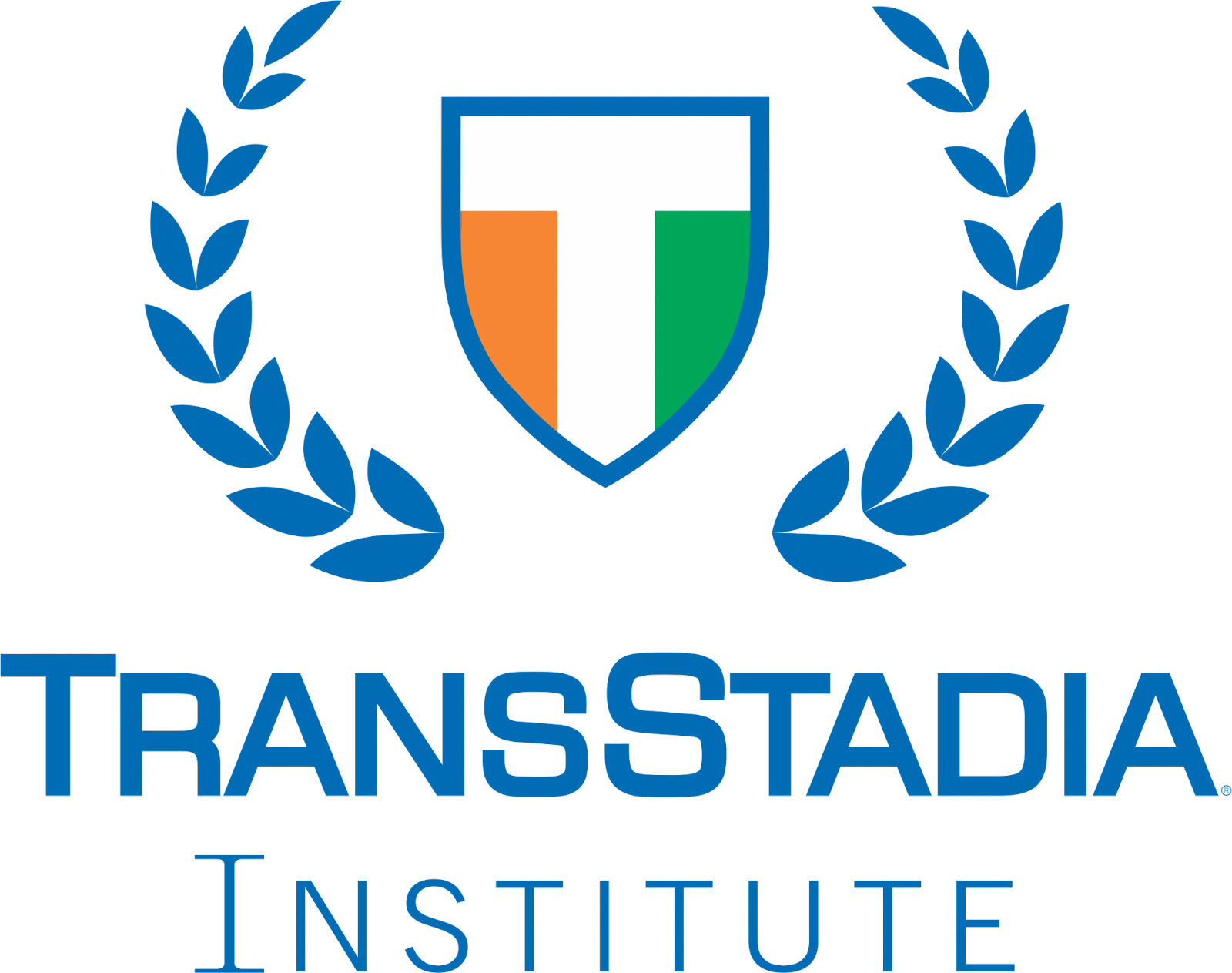 BMS Colleges In Nagpur- TransStadia Institute, Mumbai Logo
