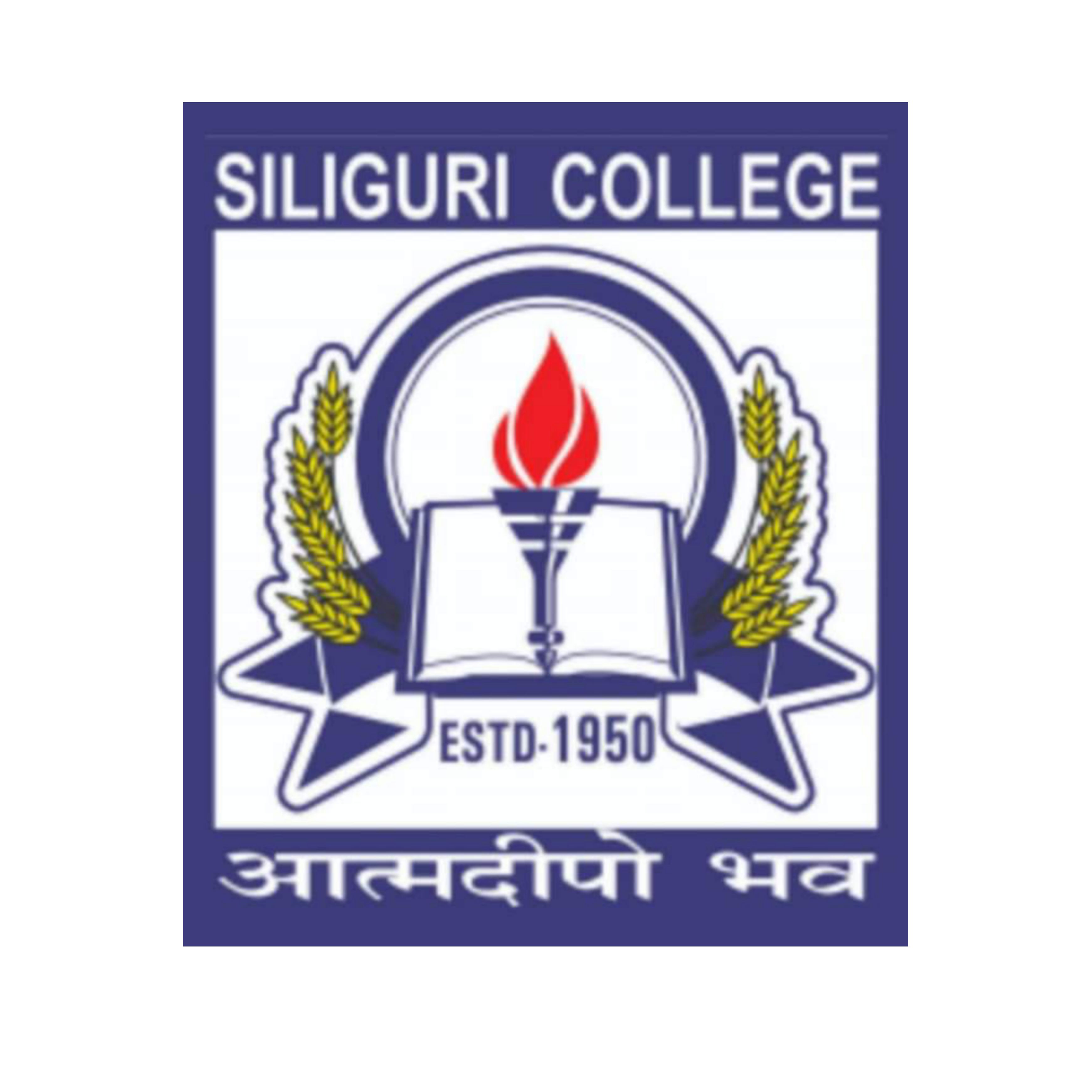 BBA Colleges in Siliguri - Siliguri college logo