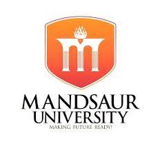 Bmm Colleges In Udaipur