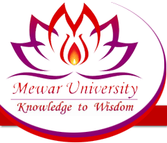 Bmm Colleges In Udaipur