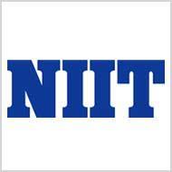 Digital Marketing Courses in theni - NIIT Logo
