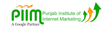 Digital Marketing Courses In Ambala- PIIM Logo