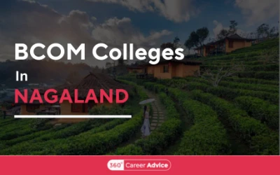 Best Bcom Colleges in Nagaland To Unleash Your Potential