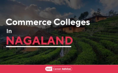 Popular Commerce Colleges in Nagaland To Uplift Your Skills