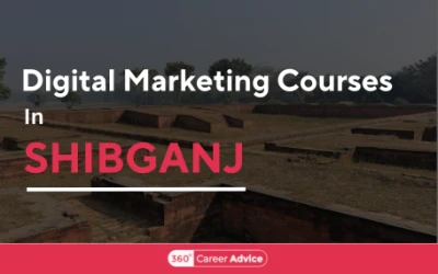 Best Digital Marketing Courses in Shibganj