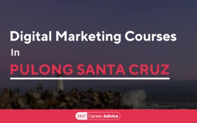 Best Digital Marketing Courses In Pulong Santa Cruz